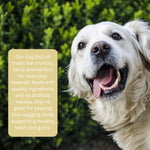 Hungry Pets Biscuit Mix 2.5L Tub