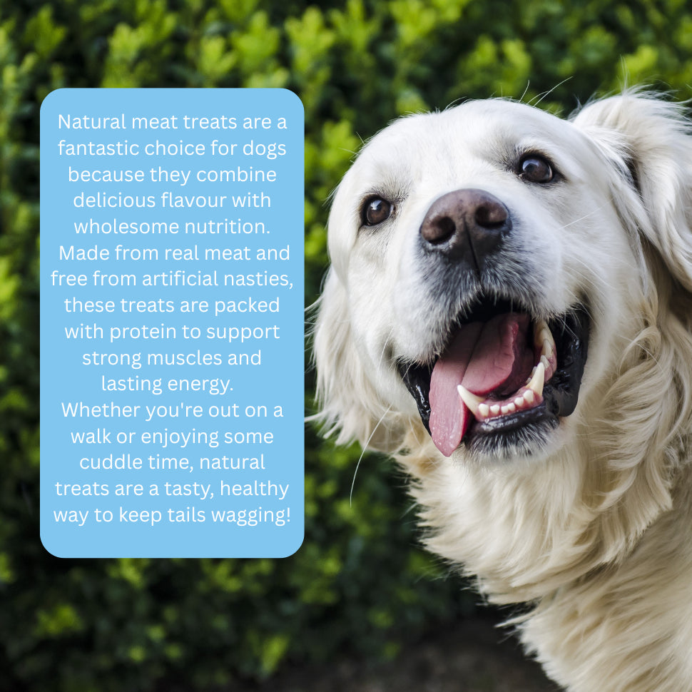 Hungry Pets Venison Bites 100g Pouch