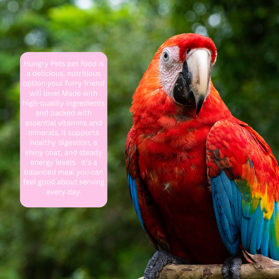Hungry Pets Premium Parrot Mixture 1kg Pouch