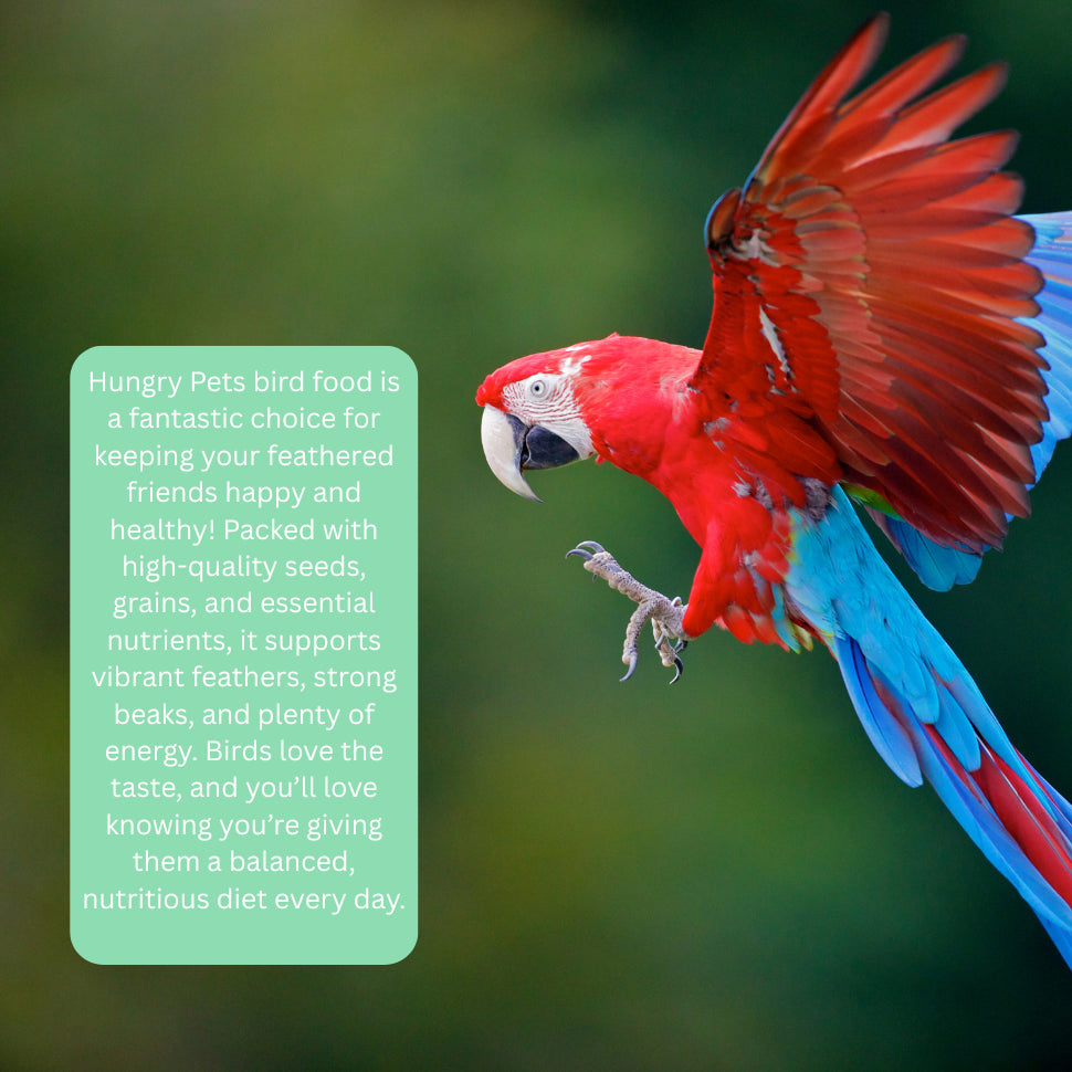 Hungry Pets Moist Egg Food 2.5L Tub