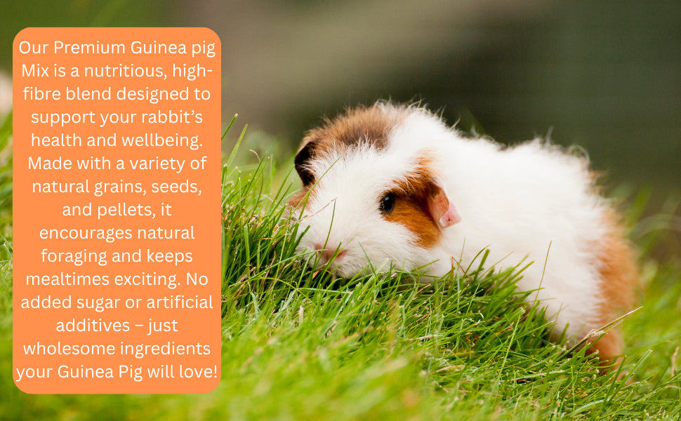 Hungry Pets Guinea Pig Food 2.5L Tub