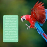 Hungry Pets Parrot Premium Mix 2.5L Tub