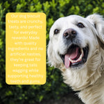 Hungry Pets Stars with Cheese 200g Pouch